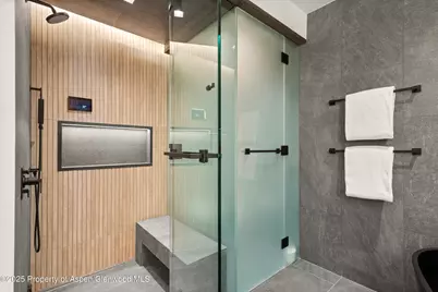 543 Walnut Street #B, Aspen, CO 81611 - Photo 15