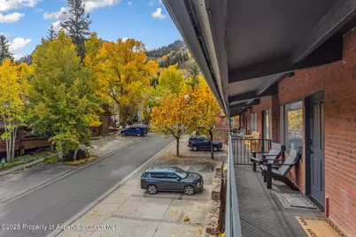 731 S Mill Street #3A, Aspen, CO 81611 - Photo 19
