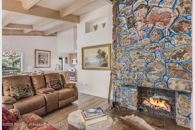 731 S Mill Street #3A, Aspen, CO 81611 - Photo 15