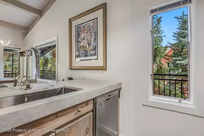 731 S Mill Street #3A, Aspen, CO 81611 - Photo 7