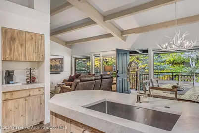 731 S Mill Street #3A, Aspen, CO 81611 - Photo 9