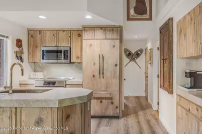 731 S Mill Street #3A, Aspen, CO 81611 - Photo 5