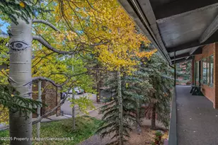731 S Mill St, Aspen, CO 81611 - Photo 31