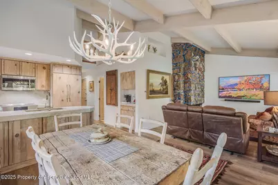 731 S Mill Street #3A, Aspen, CO 81611 - Photo 3