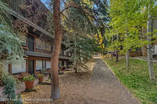 731 S Mill St, Aspen, CO 81611 - Photo 45