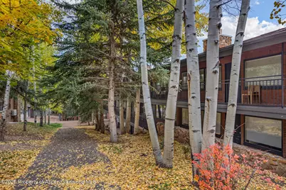 731 S Mill Street #3A, Aspen, CO 81611 - Photo 47