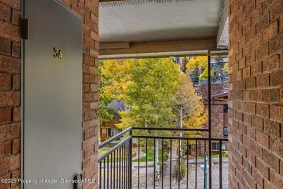731 S Mill Street #3A, Aspen, CO 81611 - Photo 39