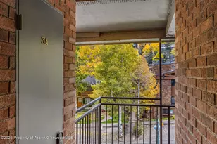 731 S Mill St, Aspen, CO 81611 - Photo 39