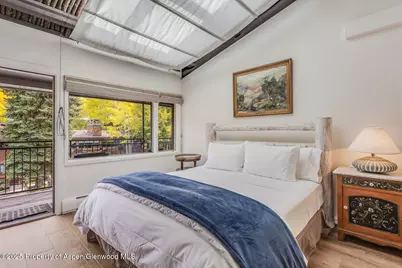 731 S Mill Street #3A, Aspen, CO 81611 - Photo 17