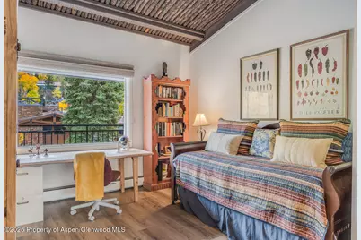 731 S Mill Street #3A, Aspen, CO 81611 - Photo 27