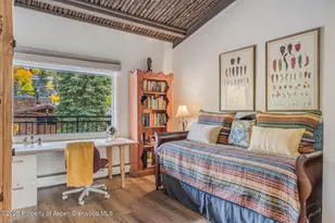 731 S Mill St, Aspen, CO 81611 - Photo 27