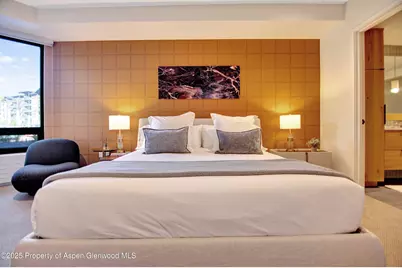 119 Wood Road #207, Snowmass Village, CO 81615 - Photo 11