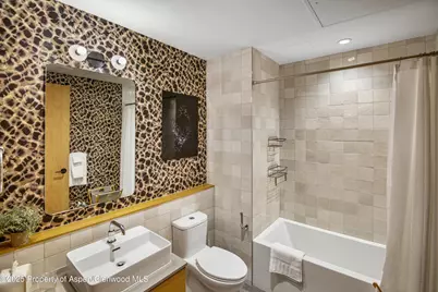 119 Wood Road #207, Snowmass Village, CO 81615 - Photo 15