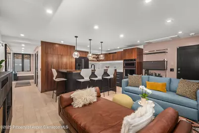 725 E Durant Avenue #22, Aspen, CO 81611 - Photo 3
