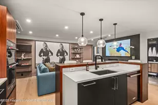 725 E Durant Ave, Aspen, CO 81611 - Photo 5