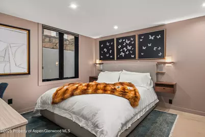 725 E Durant Avenue #22, Aspen, CO 81611 - Photo 9