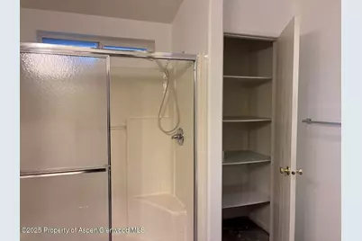 227 Cottonwood Lane, Aspen, CO 81611 - Photo 9