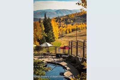 690 Carriage Way #C2G, Snowmass Village, CO 81615 - Photo 27