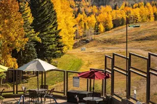 690 Carriage Way, Snowmass Village, CO 81615 - Photo 27