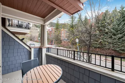 415 E Dean St, Unit 11, Week 5, Aspen, CO 81611 - Photo 15