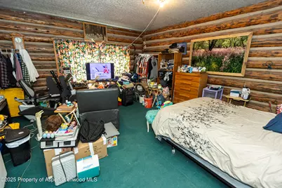938 County Rd 106, Carbondale, CO 81623 - Photo 13