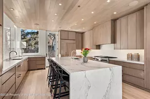 219 N Monarch St, Aspen, CO 81611 - Photo 7