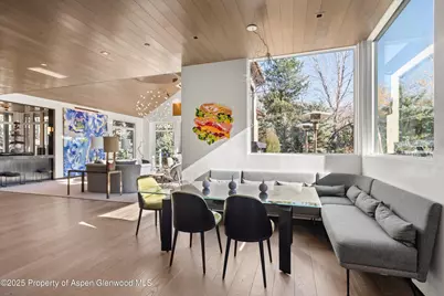 219 N Monarch Street, Aspen, CO 81611 - Photo 9