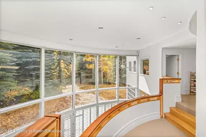 431 W Hopkins Avenue, Aspen, CO 81611 - Photo 21