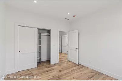 13 Belgian Court, Silt, CO 81652 - Photo 27