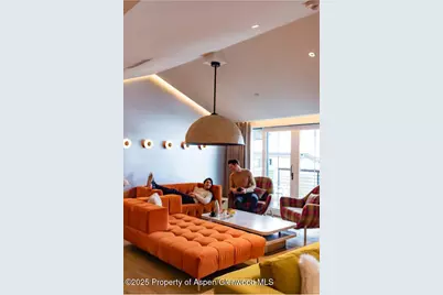 550 S Spring Street #F2-1, Aspen, CO 81611 - Photo 5