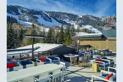 550 S Spring Street #F2-1, Aspen, CO 81611 - Photo 11