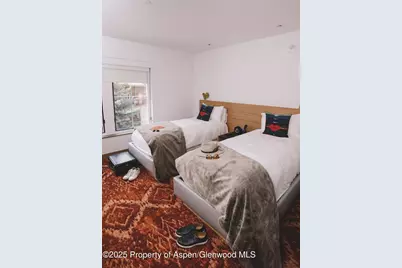 550 S Spring Street #F2-1, Aspen, CO 81611 - Photo 7