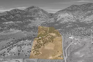 1171 Co Rd 259, Rifle, CO 81650 - Photo 29