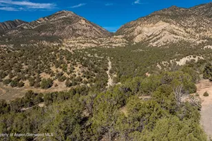 1171 Co Rd 259, Rifle, CO 81650 - Photo 23