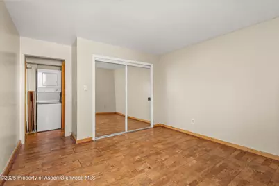 718 Main Street, Carbondale, CO 81623 - Photo 13