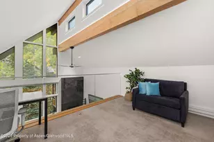 800 S Mill St, Aspen, CO 81611 - Photo 27