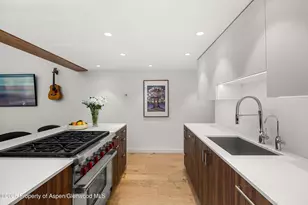 800 S Mill St, Aspen, CO 81611 - Photo 9