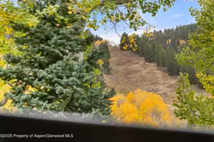 800 S Mill St, Aspen, CO 81611 - Photo 31