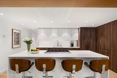 800 S Mill Street #303C, Aspen, CO 81611 - Photo 7