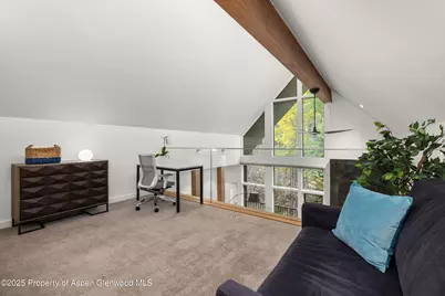 800 S Mill Street #303C, Aspen, CO 81611 - Photo 25