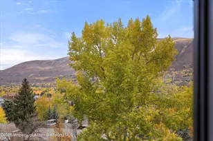 800 S Mill St, Aspen, CO 81611 - Photo 29