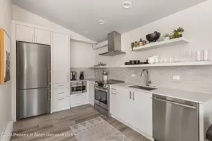 220 W Main St, Aspen, CO 81611 - Photo 3