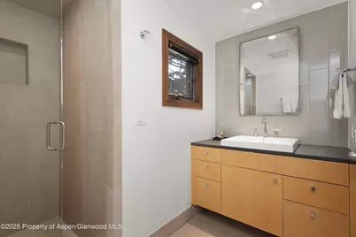 602 W Hallam Street, Aspen, CO 81611 - Photo 17