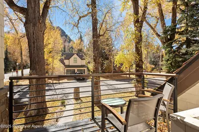 602 W Hallam Street, Aspen, CO 81611 - Photo 23