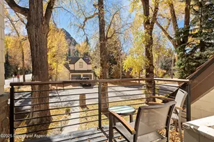 602 W Hallam St, Aspen, CO 81611 - Photo 23