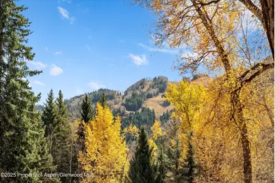 602 W Hallam Street, Aspen, CO 81611 - Photo 1