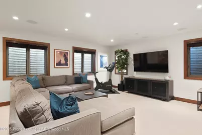 602 W Hallam Street, Aspen, CO 81611 - Photo 29