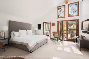 602 W Hallam St, Aspen, CO 81611 - Photo 19