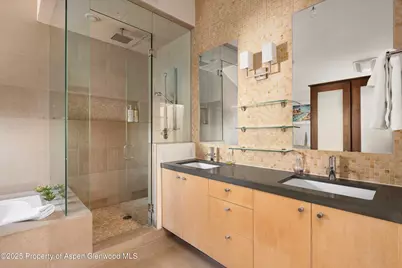 602 W Hallam Street, Aspen, CO 81611 - Photo 21