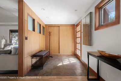 602 W Hallam Street, Aspen, CO 81611 - Photo 13